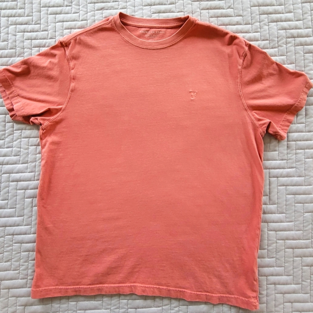 Large American Eagle Standard Fit T-Shirt